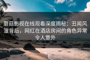 蘑菇影视在线观看深度揭秘：丑闻风波背后，网红在酒店房间的角色异常令人意外
