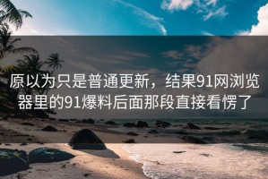 原以为只是普通更新，结果91网浏览器里的91爆料后面那段直接看愣了