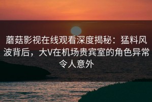 蘑菇影视在线观看深度揭秘：猛料风波背后，大V在机场贵宾室的角色异常令人意外