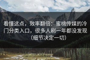 看懂这点，效率翻倍：蜜桃传媒的冷门分类入口，很多人刷一年都没发现（细节决定一切）
