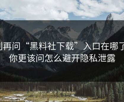 别再问“黑料社下载”入口在哪了：你更该问怎么避开隐私泄露