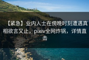 【紧急】业内人士在傍晚时刻遭遇真相欲言又止，pixiv全网炸锅，详情直击