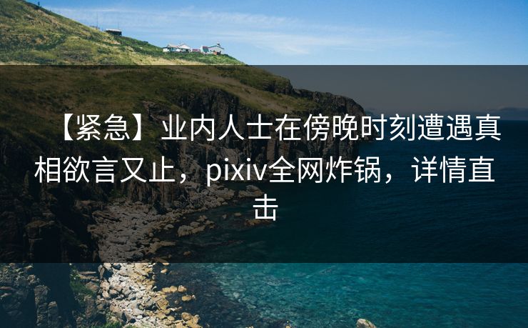 【紧急】业内人士在傍晚时刻遭遇真相欲言又止，pixiv全网炸锅，详情直击