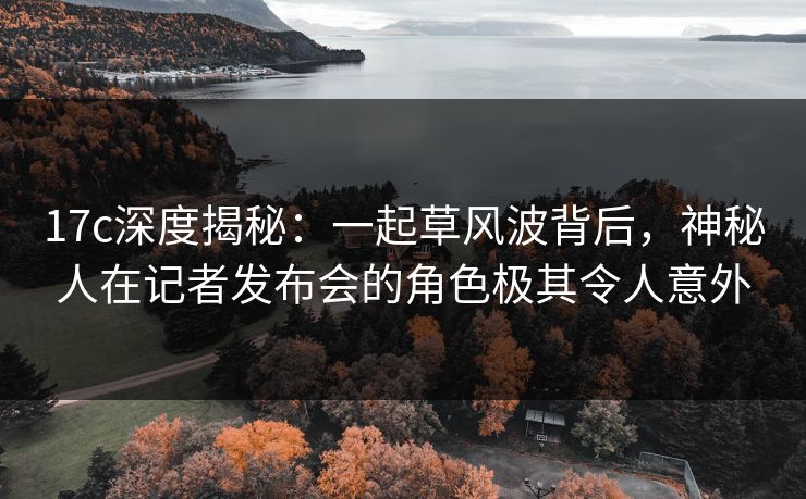 17c深度揭秘：一起草风波背后，神秘人在记者发布会的角色极其令人意外