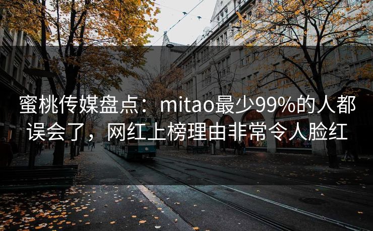 蜜桃传媒盘点：mitao最少99%的人都误会了，网红上榜理由非常令人脸红
